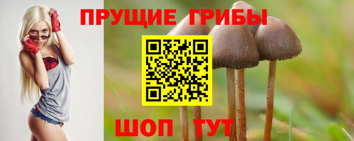 Красноперекопск  Галлюциногенные грибы ЛСД  Вход с VPN 